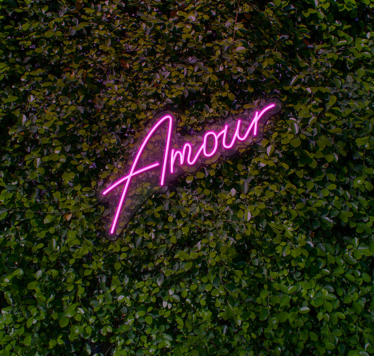 Amour LED Neon Sign